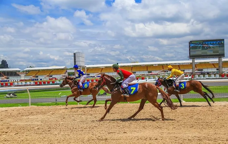 Hướng Dẫn Tìm Hiểu Cá Cược Đua Ngựa VN86 Đầy Đủ Chi Tiết Nhất