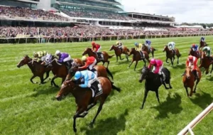 Hướng Dẫn Tìm Hiểu Cá Cược Đua Ngựa VN86 Đầy Đủ Chi Tiết Nhất