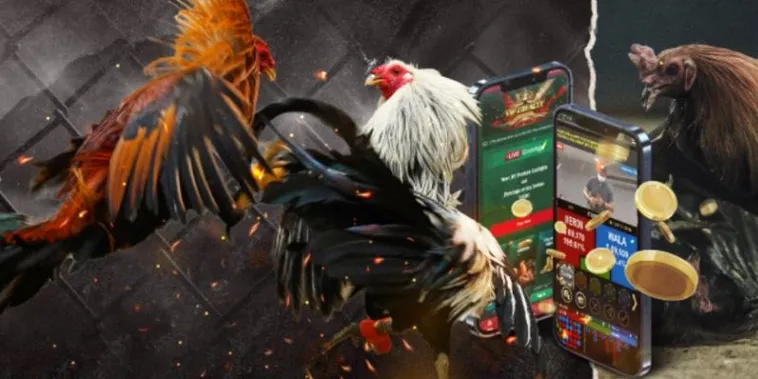 Bật Mí Cách Chơi Đá Gà GA28 Tại VN86 Chuẩn Xác Như Chuyên Gia 2 Bật Mí Cách Chơi Đá Gà GA28 Tại VN86 Chuẩn Xác Như Chuyên Gia